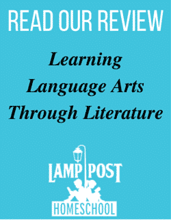 literature review on learning through play