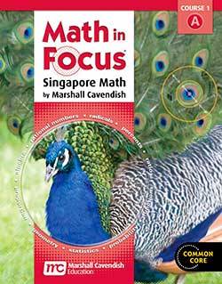 Math in Focus Course 1A Grade 6 Kit.