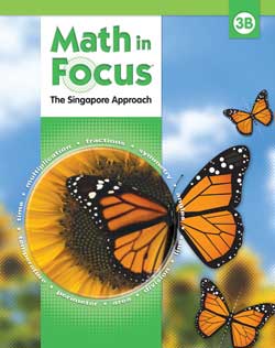 Math In Focus Singapore Approach 3 Lamp Post Homeschool