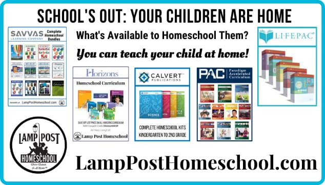 School's out: what is available to homeschool them?
