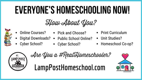 Are you homeschooling now?