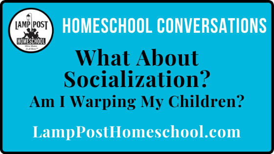 What About Socialization?