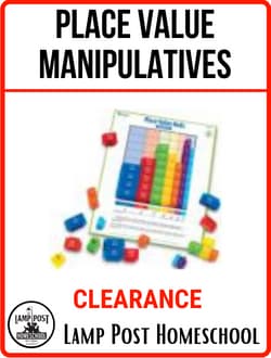 Place Value Manipulatives CLEARANCE.