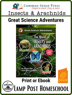 Great Science Adventures: World of Insects and Arachnids-9791929683085.