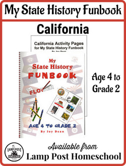 California: My State History Funbook.
