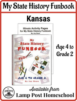 📚 Learning Kansas History Through Online Games, Essay Example