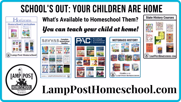 School's out: what is available to homeschool them?