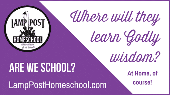 Are We School? Asking the right question when you homeschool. By Harriet Yoder at LampPostHomeschool.com
